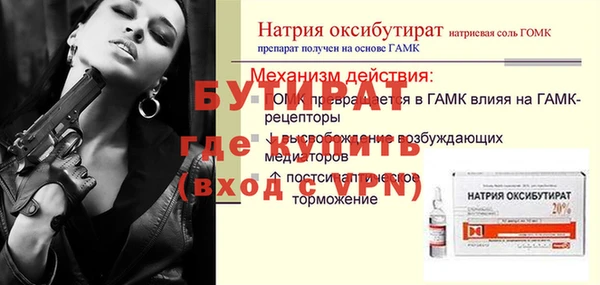 гидра Богданович
