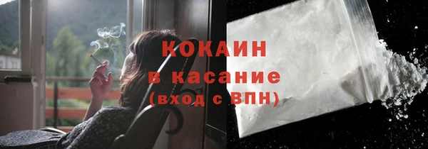 гидра Богданович