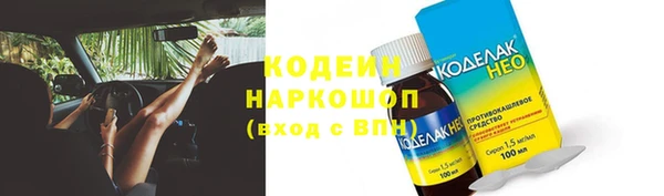 гидра Богданович
