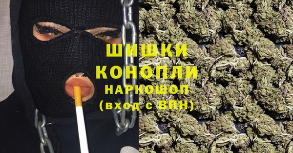 гидра Богданович