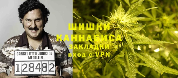 хмурый Богородск