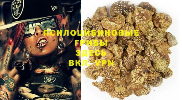 гидра Богданович