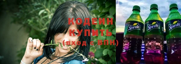 хмурый Богородск