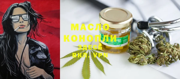 гидра Богданович