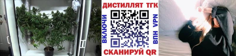mega   Дубовка  ТГК вейп с тгк 