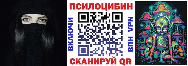 где купить наркотик  Дубовка  Псилоцибиновые грибы MAGIC MUSHROOMS 